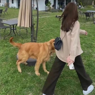 下颌骨