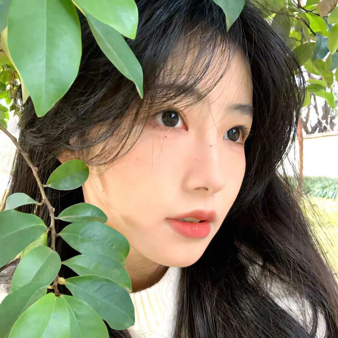 完美世界剧场版